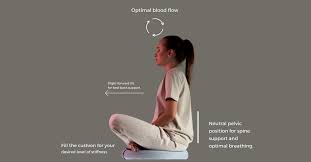 Best Meditation Cushion for Sciatica