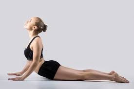 Yoga for Improving Posture | The Art of Standing Tall